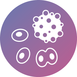 cancer cells